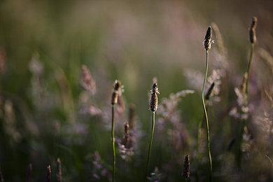 Steam喜加一 2D冒险游戏《香蕉地狱》免费领取